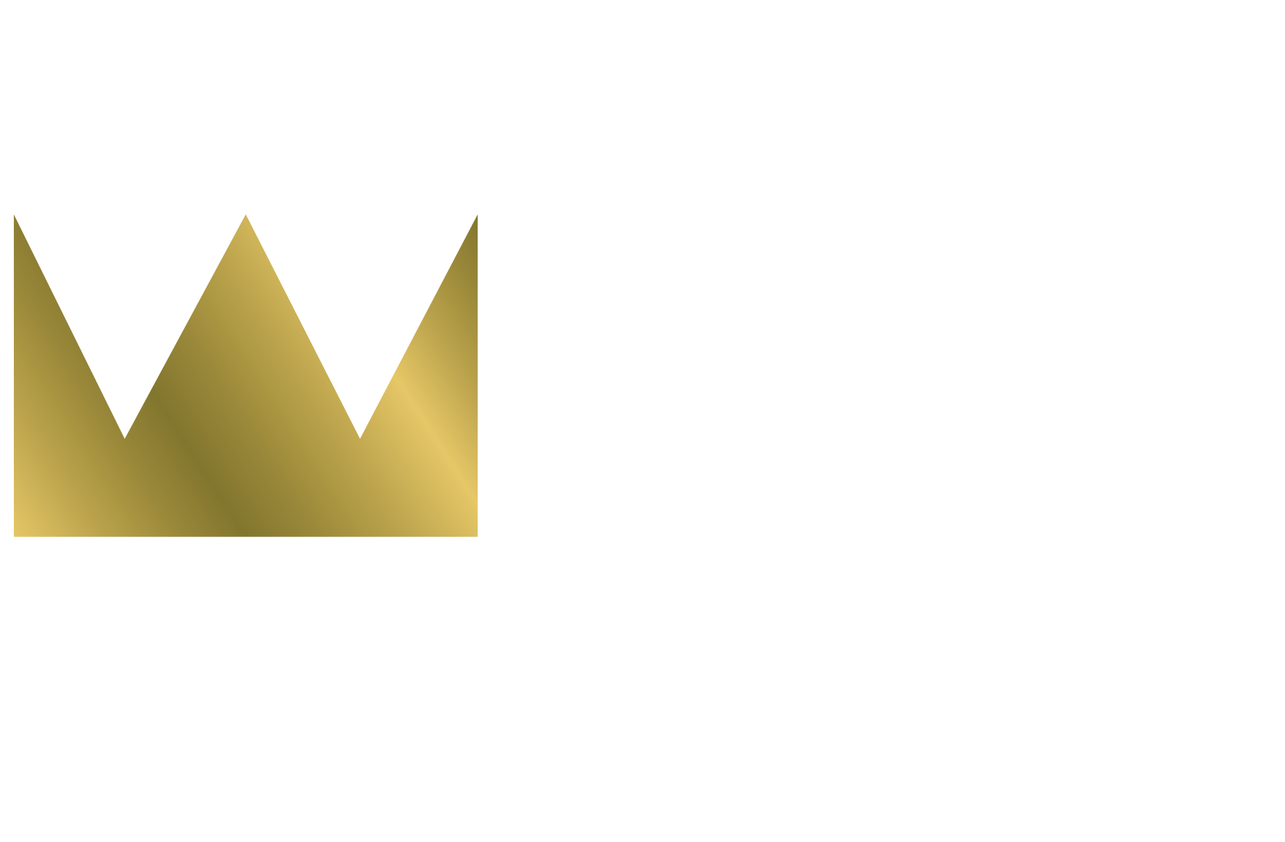 شعار وايز للتأمين